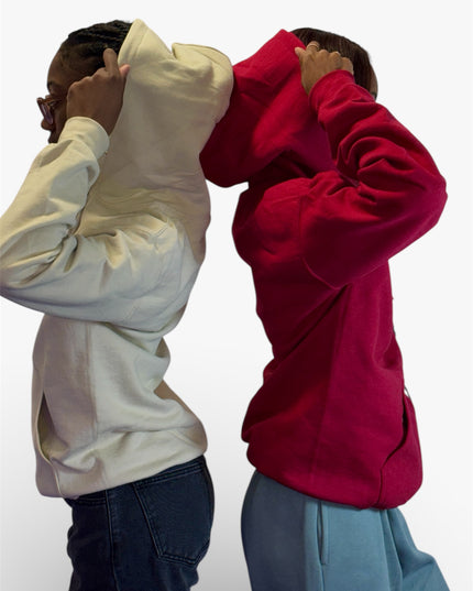 AriNiyla the Brand Hoodie