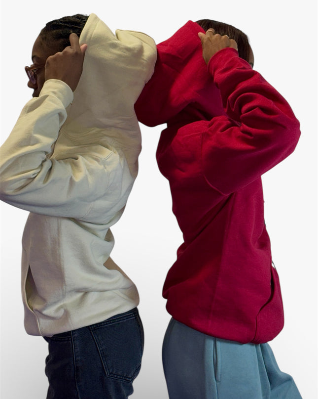 AriNiyla the Brand Hoodie